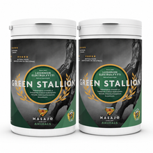 Green Stallion Luonnon Elektrolyytti 2x700g — Kampanjapakkaus