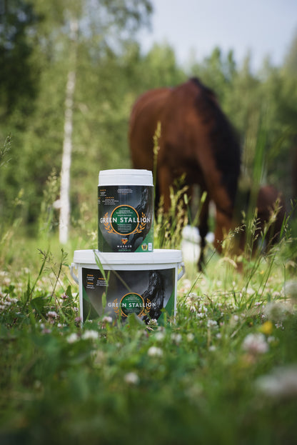 Green Stallion ja Green Canine – Masajo Pure for Animals tuotteet