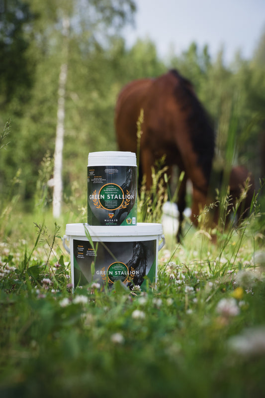Green Stallion Luonnon Elektrolyytti 700g