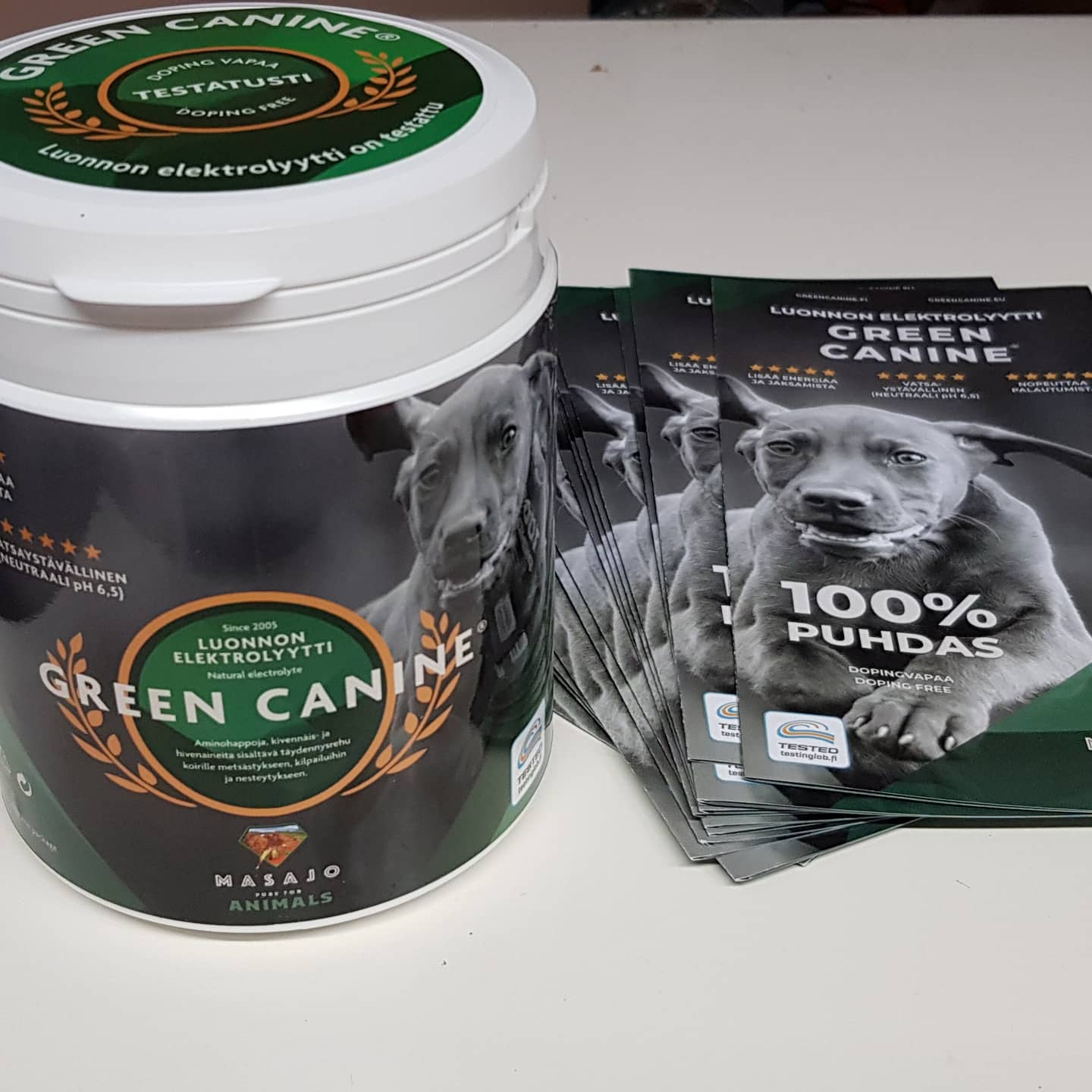 Green Canine Luonnon Elektrolyytti Koirille 500g