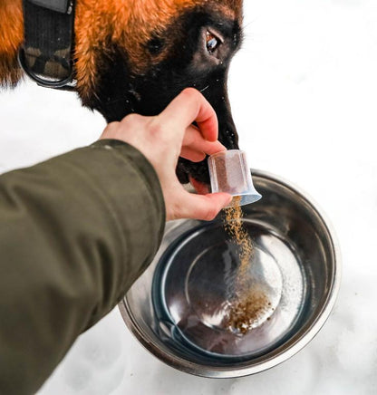 Green Canine – luonnon elektrolyytti kilpa- ja metsästyskoirille