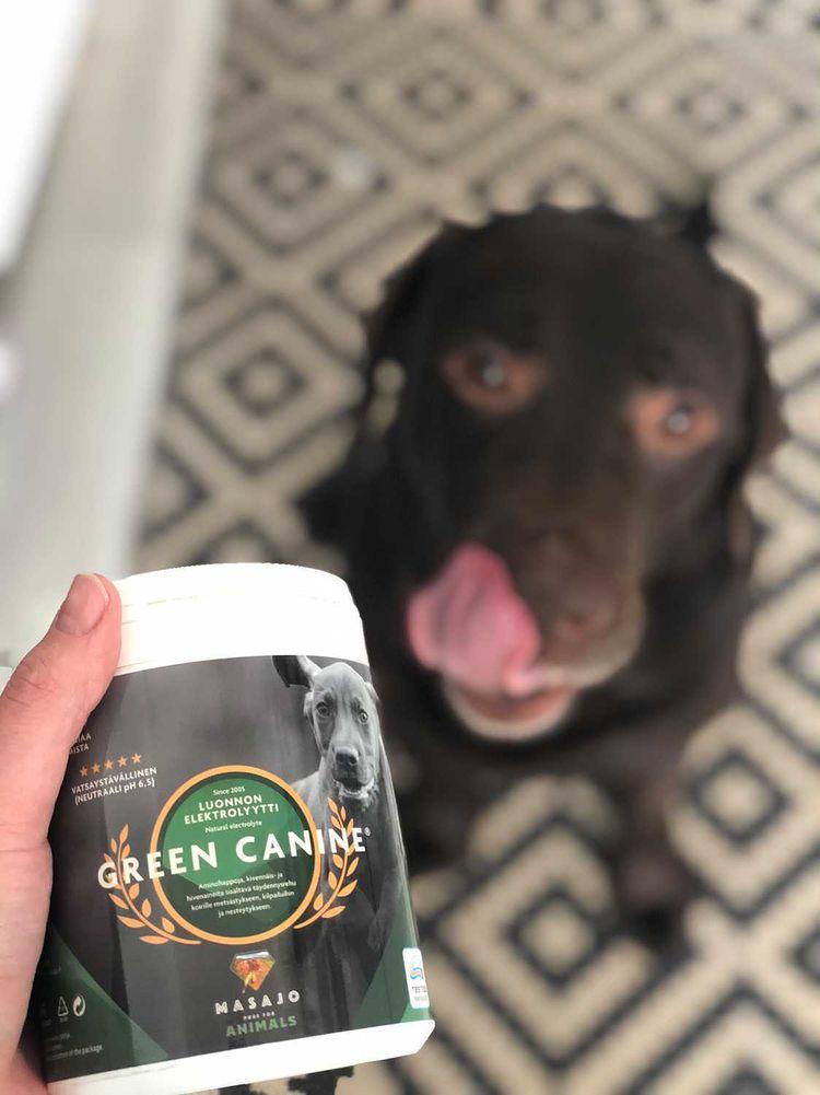 Green Canine Luonnon Elektrolyytti Koirille 500g
