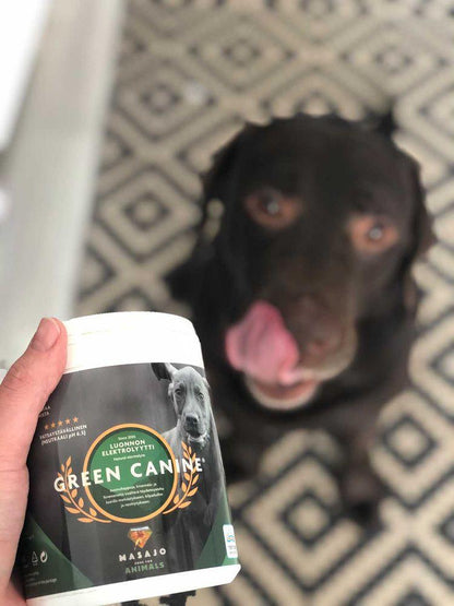 Green Canine purkkikuva – Masajo Pure for Animals
