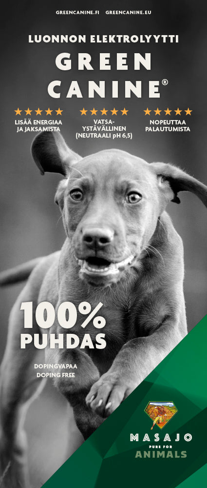 Green Canine Luonnon Elektrolyytti Koirille 500g